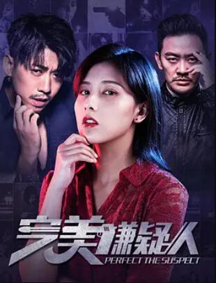 电影:完美嫌疑人