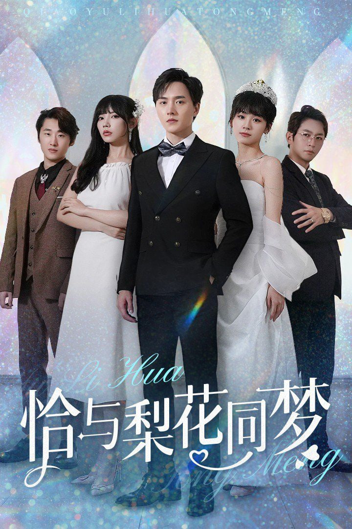 电影：恰与梨花同梦