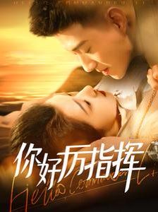 电影:你好厉指挥