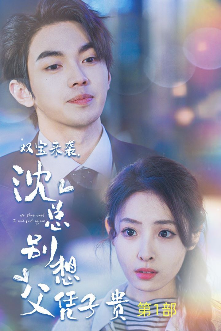 电影:双宝来袭沈总别想父凭子贵(报告妈咪便宜爹地竟是总裁)