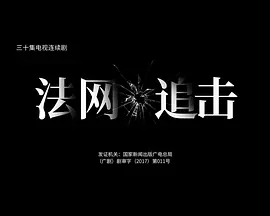 电影:法网追击