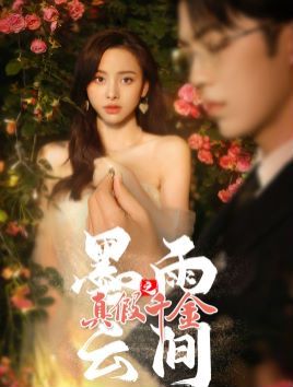 电影：墨雨云间之真假千金