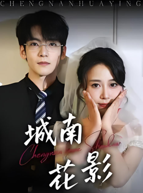 电影:城南花影