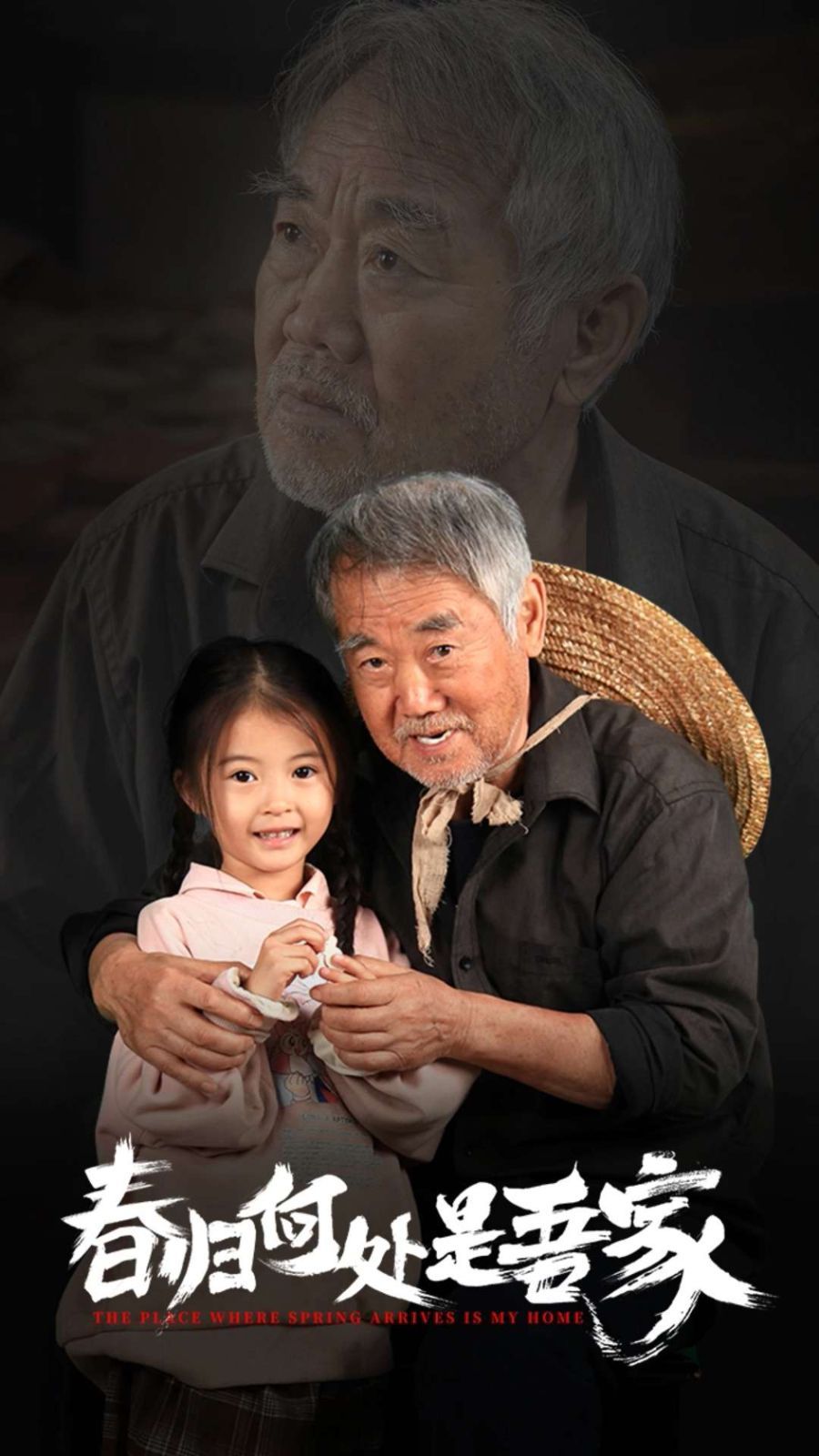 电影：春归何处是吾家