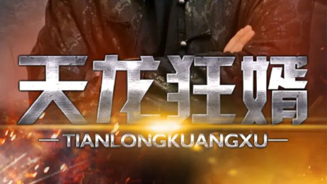 电影：天龙狂婿