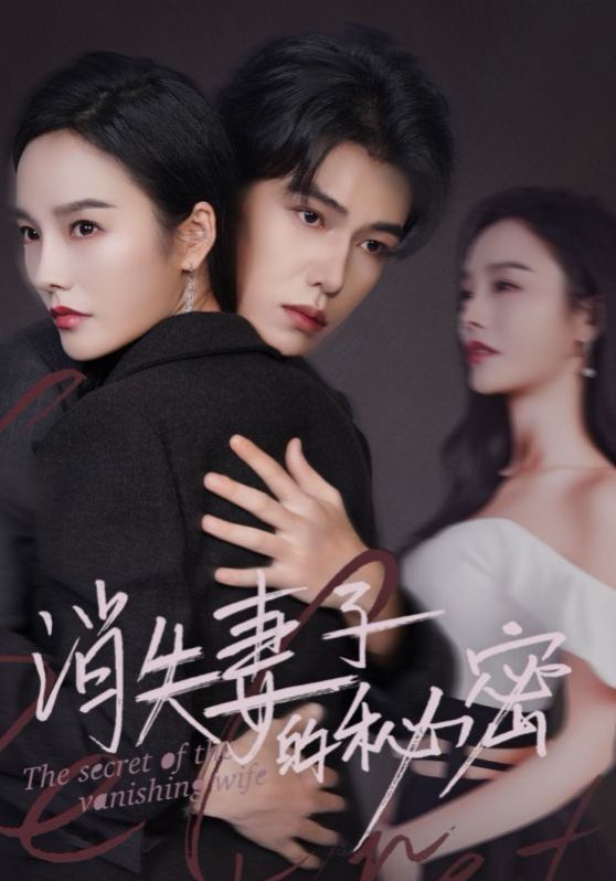 电影：消失妻子的秘密