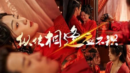 电影：纵使相逢应不识