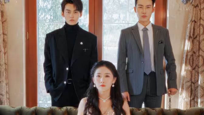 电影：不要招惹舒小姐