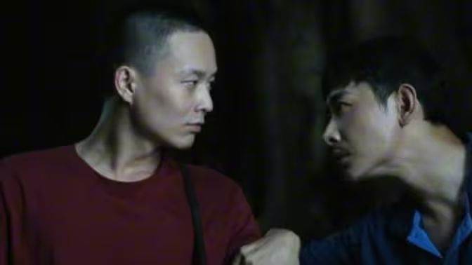 电影：爱在灰烬中重生