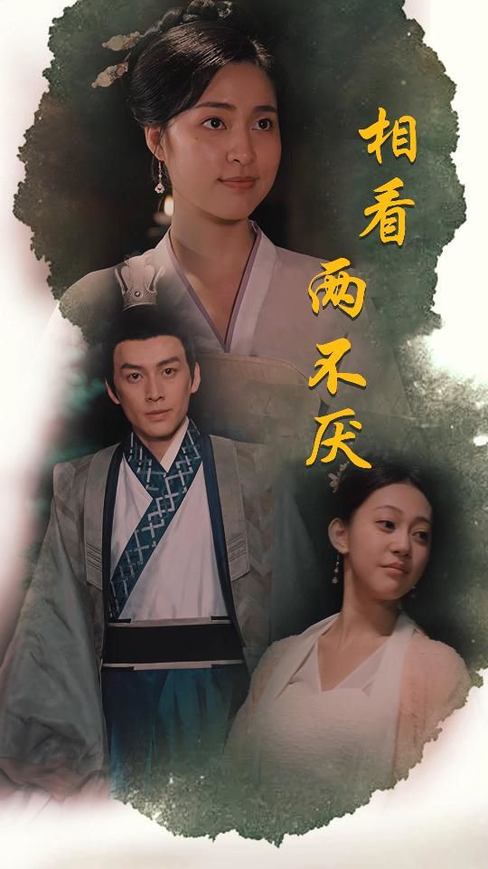 电影：相看两不厌(这个王妃不好惹)