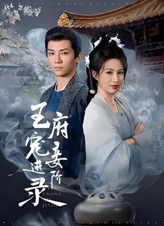 电影:王府宠妾进阶录