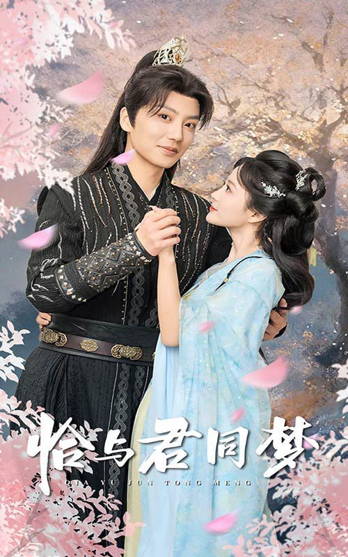 电影:恰与君同梦