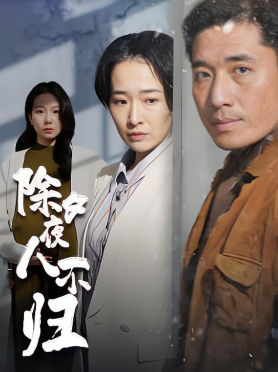 电影：除夕夜人不归