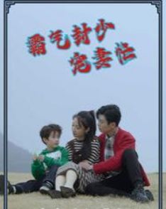 电影：霸气封少宠妻忙