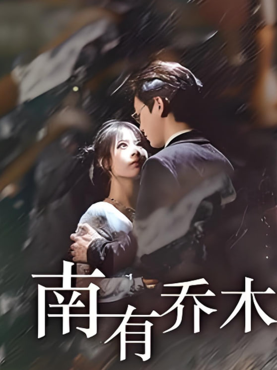 电影：南有乔木