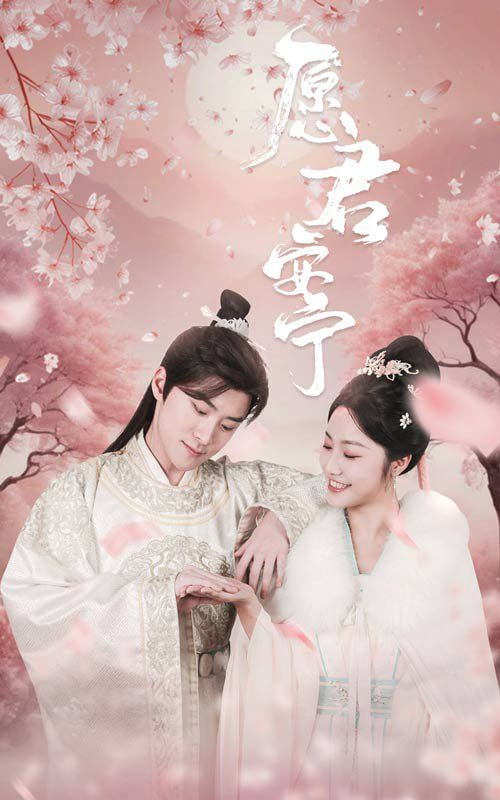 电影：愿君安宁