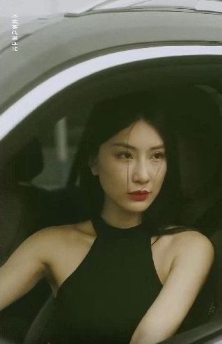 电影：特工凤凰（绝色特工）