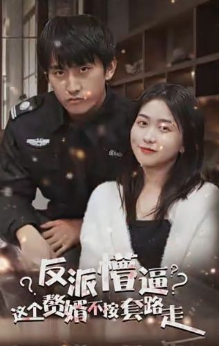 电影：狂医废婿