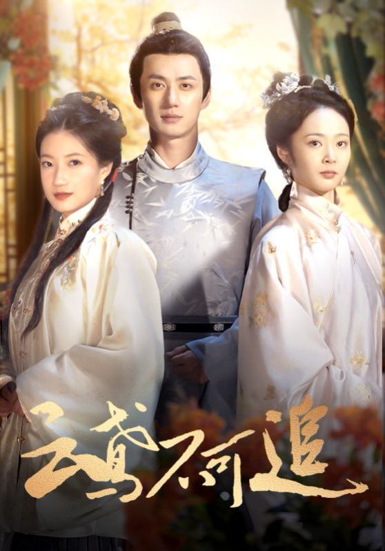 电影：云鸢不可追