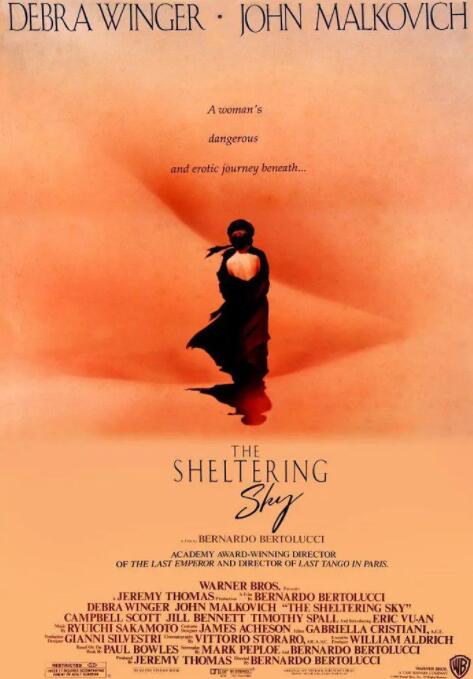 电影：遮蔽的天空