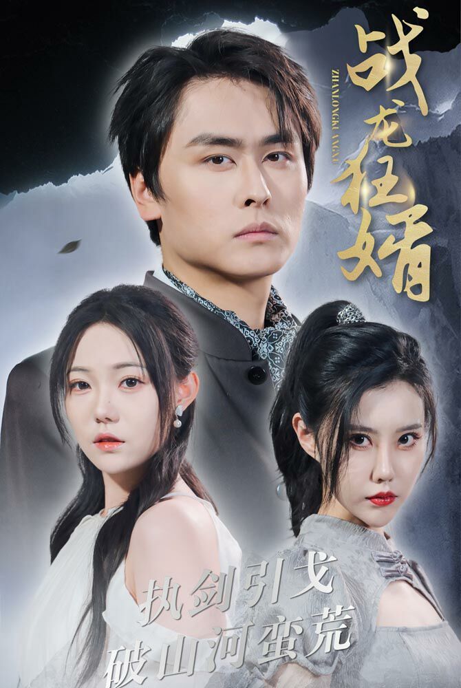 电影：战龙狂婿