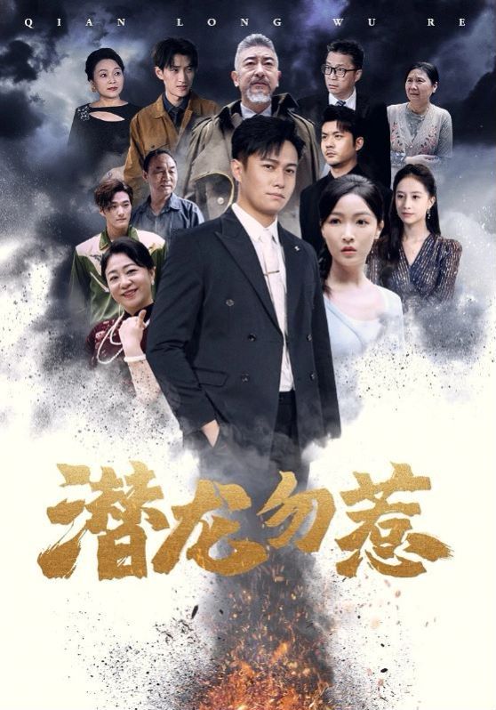 电影：潜龙勿惹