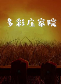 电影:多彩庄家院