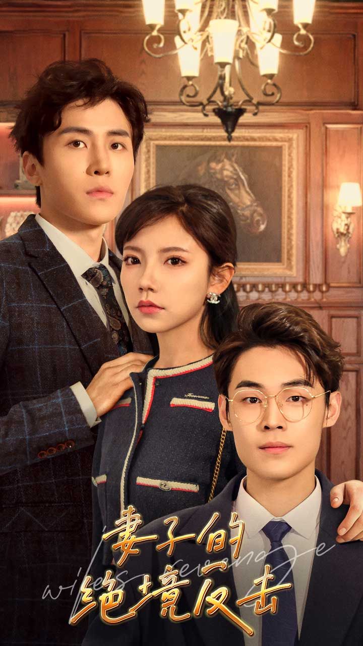 电影：妻子的绝境反击