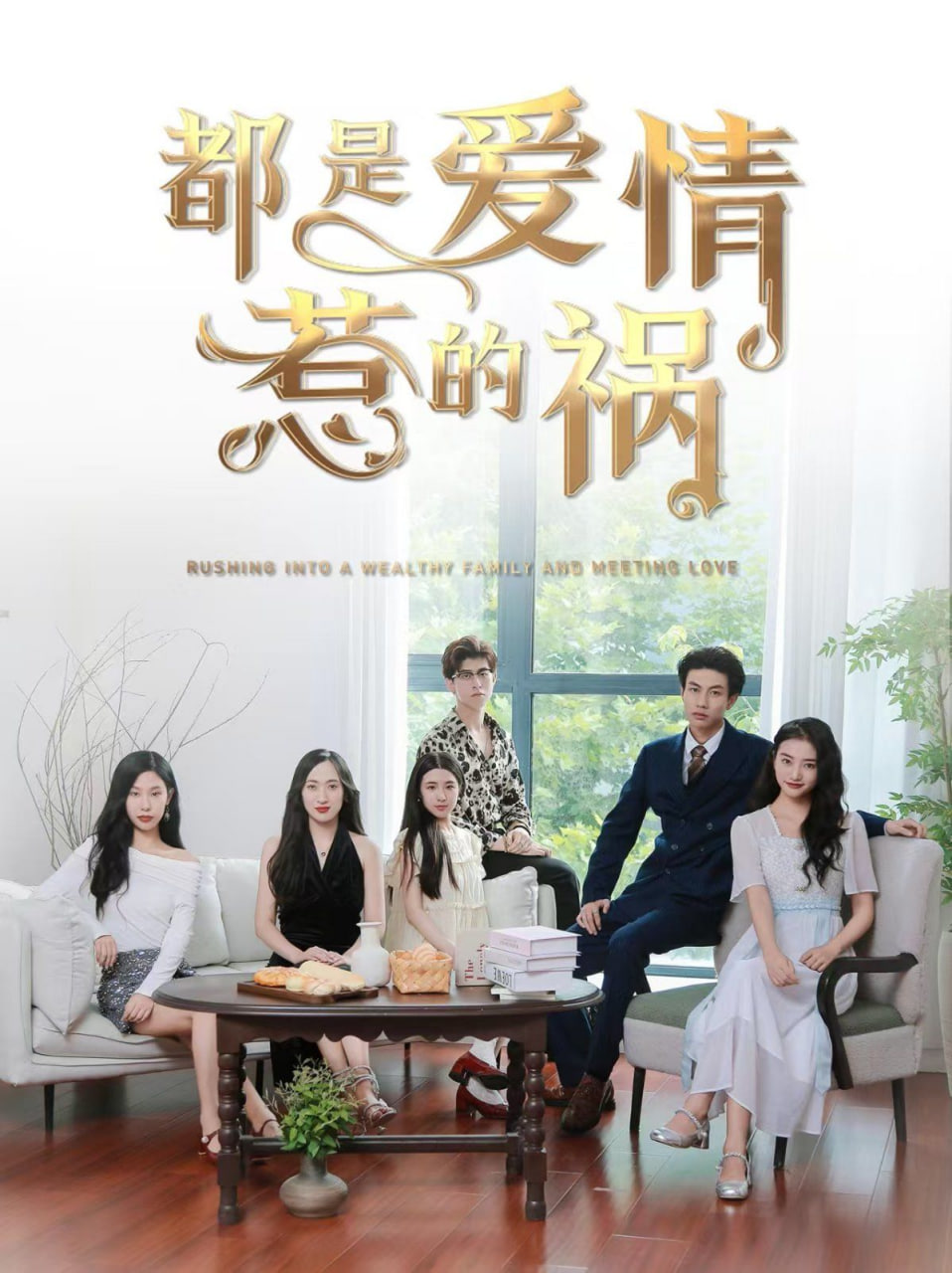 电影：都是爱情惹的祸