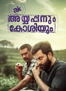 电影：阿亚潘和柯西（英语版）