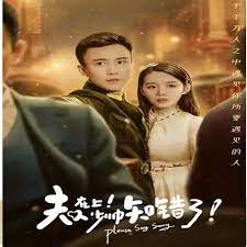 电影：夫人在上，少帅知错了