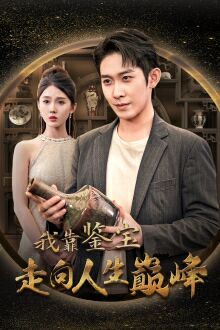 电影：我靠鉴宝走向人生巅峰