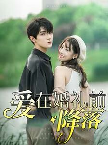 电影：爱在婚礼前降落