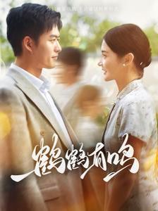 电影：鹤鹤有鸣