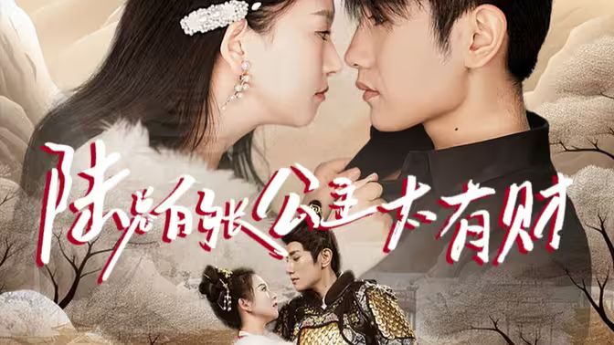 电影：陆总的长公主太有财