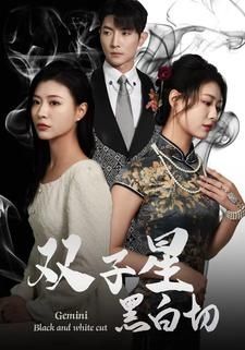 电影：双子星黑白切