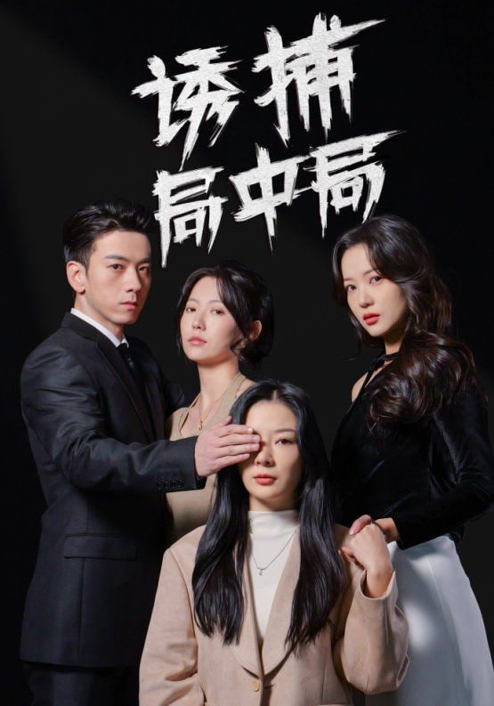 电影:诱捕局中局(夜色暗涌)