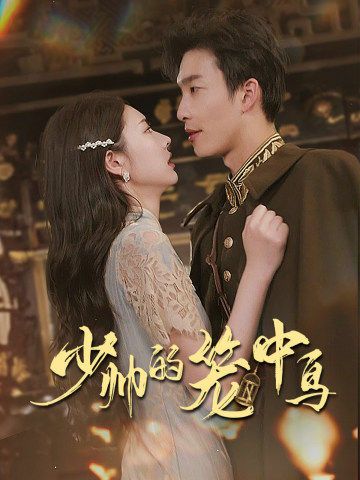 电影：少帅的笼中鸟