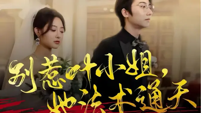 电影：别惹叶小姐，她法术通天