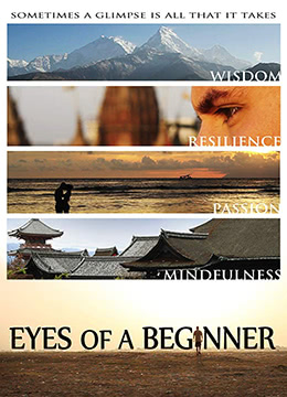 电影:重获光明之旅