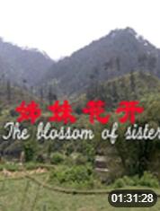 电影:姊妹花开