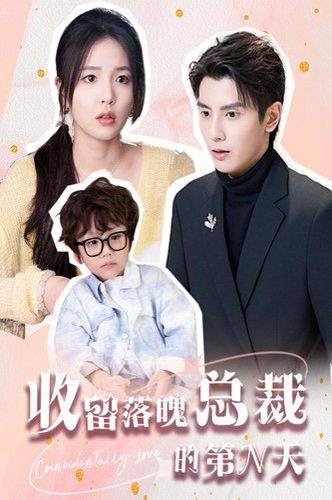 电影：收留落魄总裁的第N天