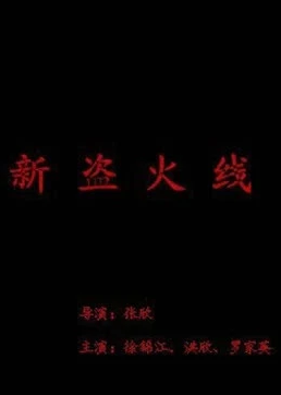 电影：新盗火线