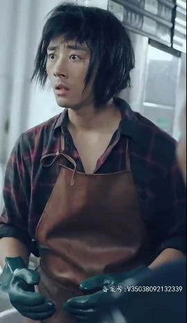 电影：最新版：护国神帅