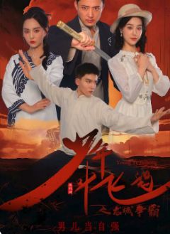 电影：少年叶飞鸿之龙城争霸