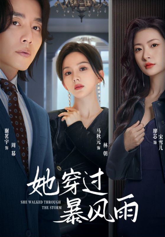 电影：她穿过暴风雨