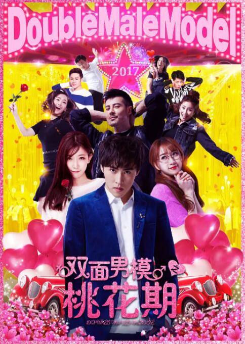电影:双面男模之桃花期