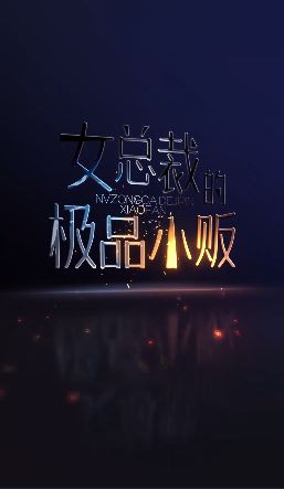 电影：女总裁的极品小贩