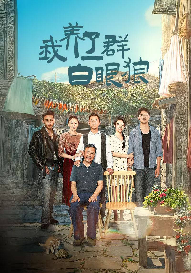 电影：我养了一群白眼狼（家家有本难念的经）