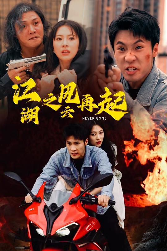 电影:江湖之风云再起